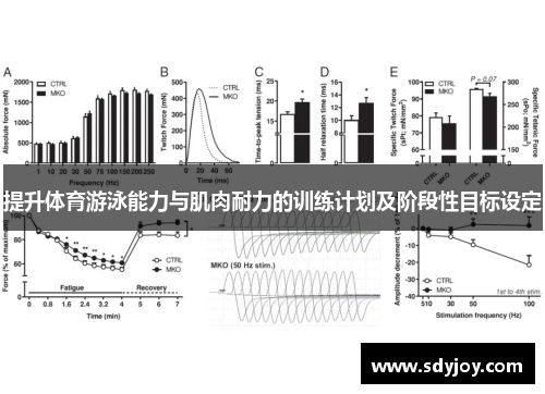 提升体育游泳能力与肌肉耐力的训练计划及阶段性目标设定